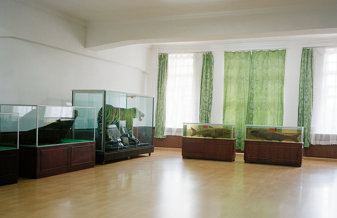 Pyongyang 2007 - 