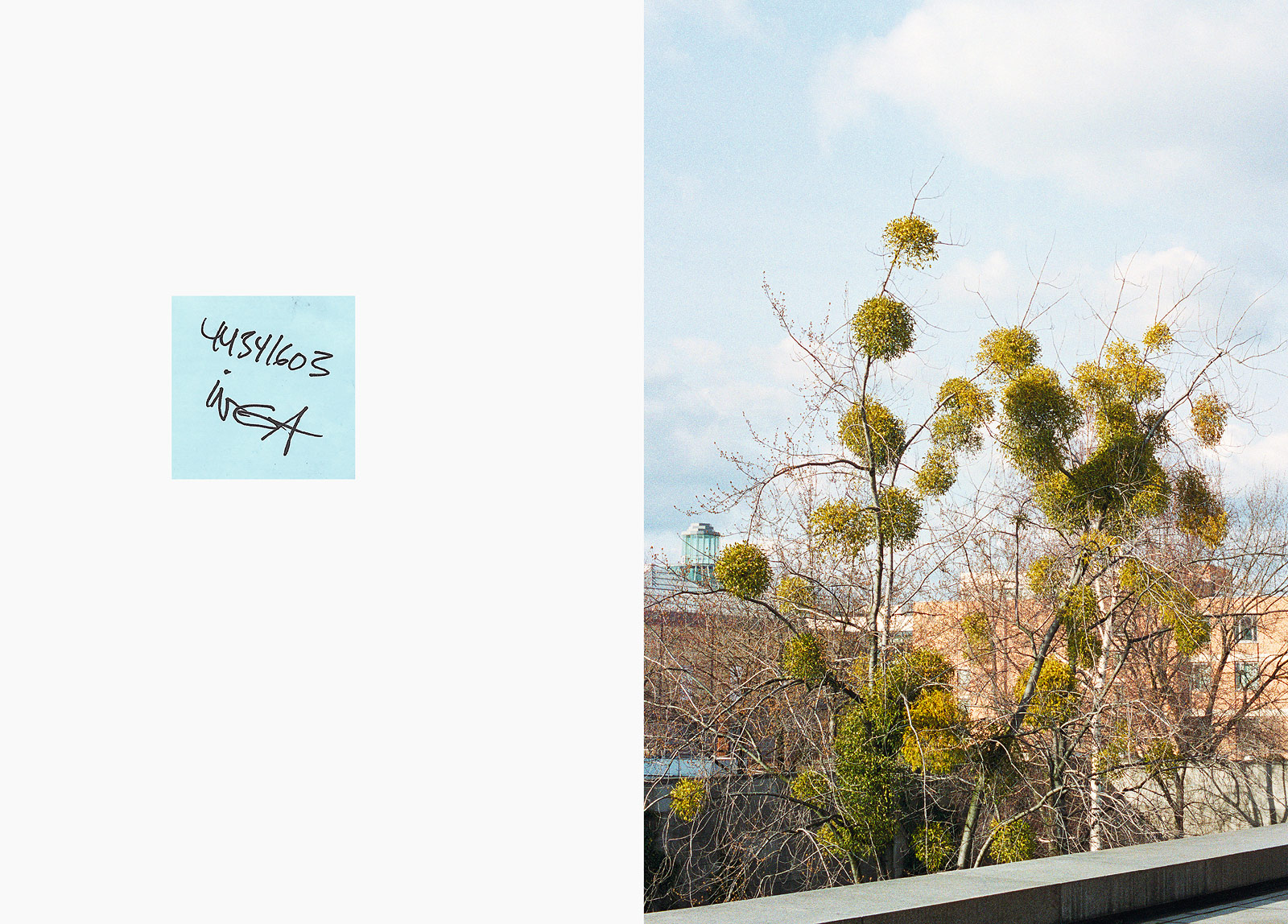 Hi Schatz! 2. Ausgabe - 