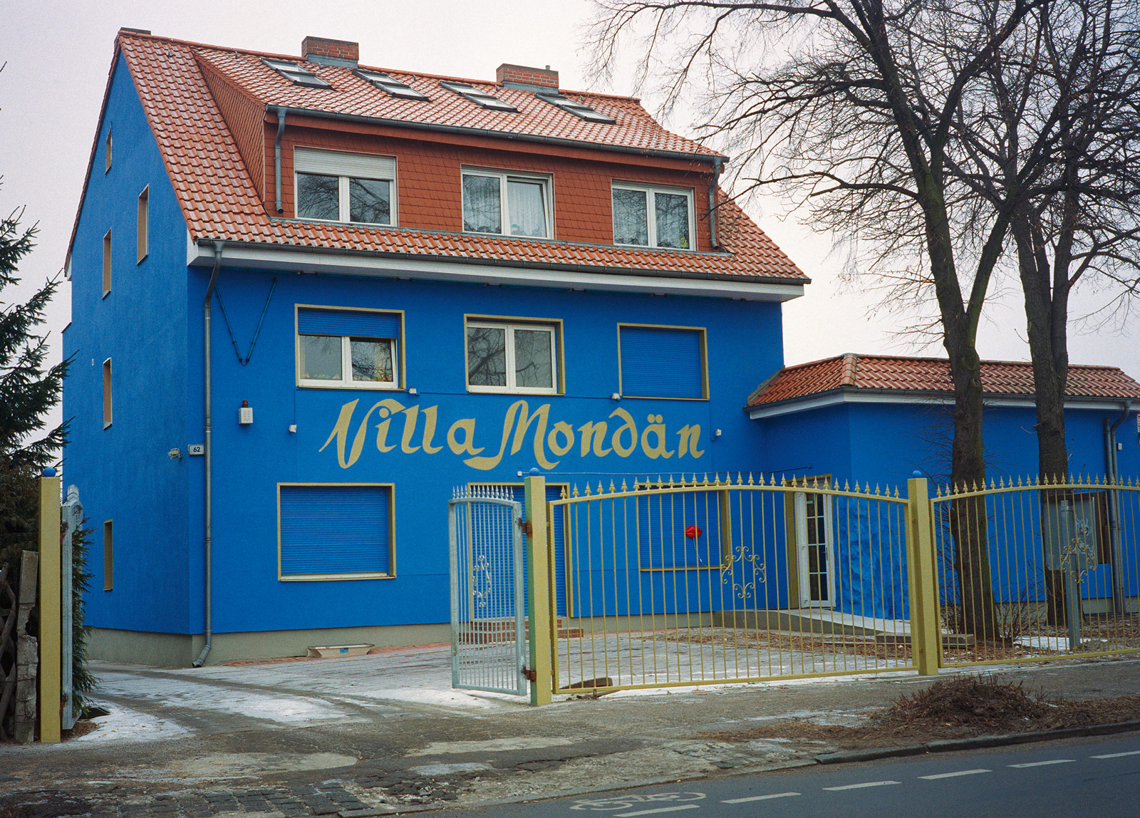 Hi Schatz! - 