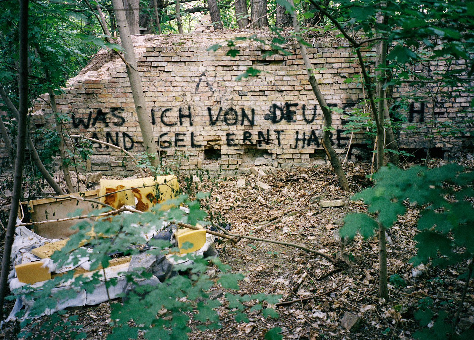 Hi Schatz! - 